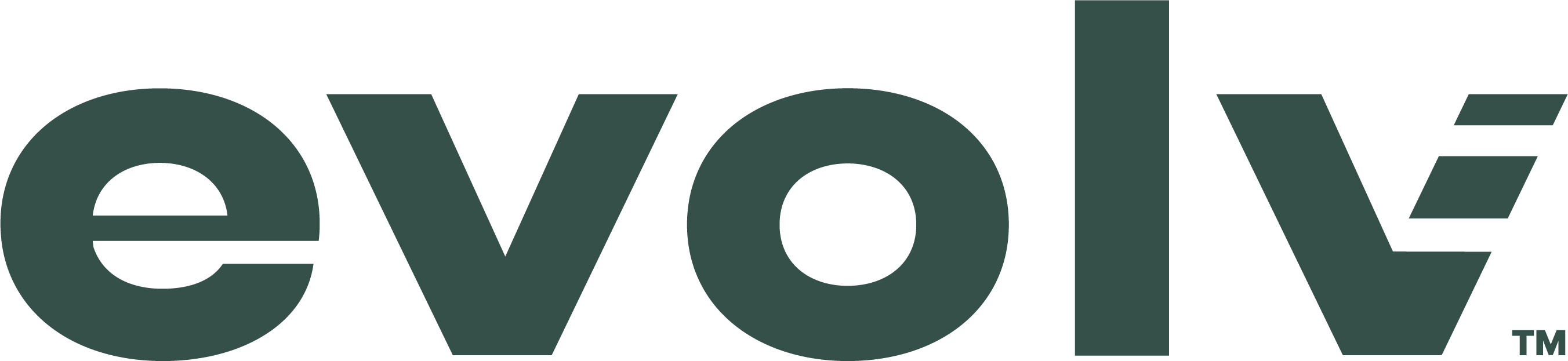 Evolv Logo (Gold Sponsor).png